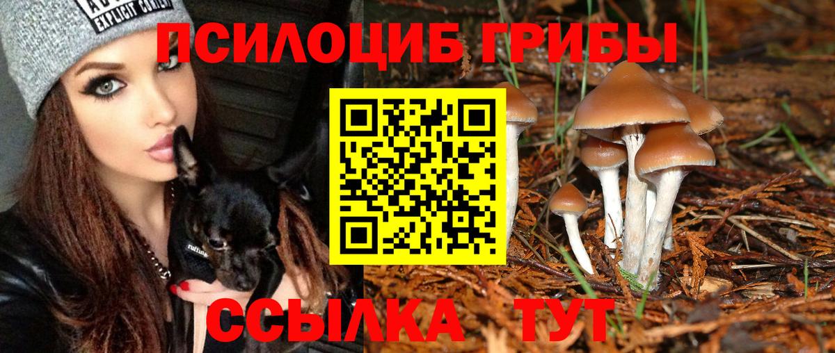 Псилоцибиновые грибы мицелий  Вход с VPN  Благовещенск 